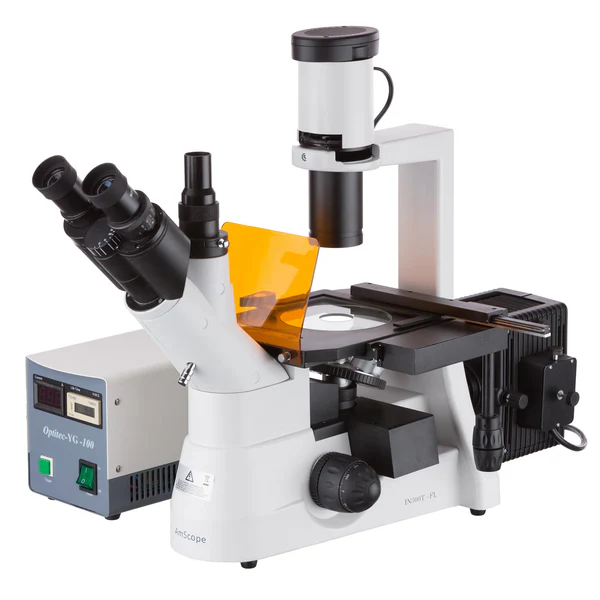 Epi Fluorescent Compound Microscope