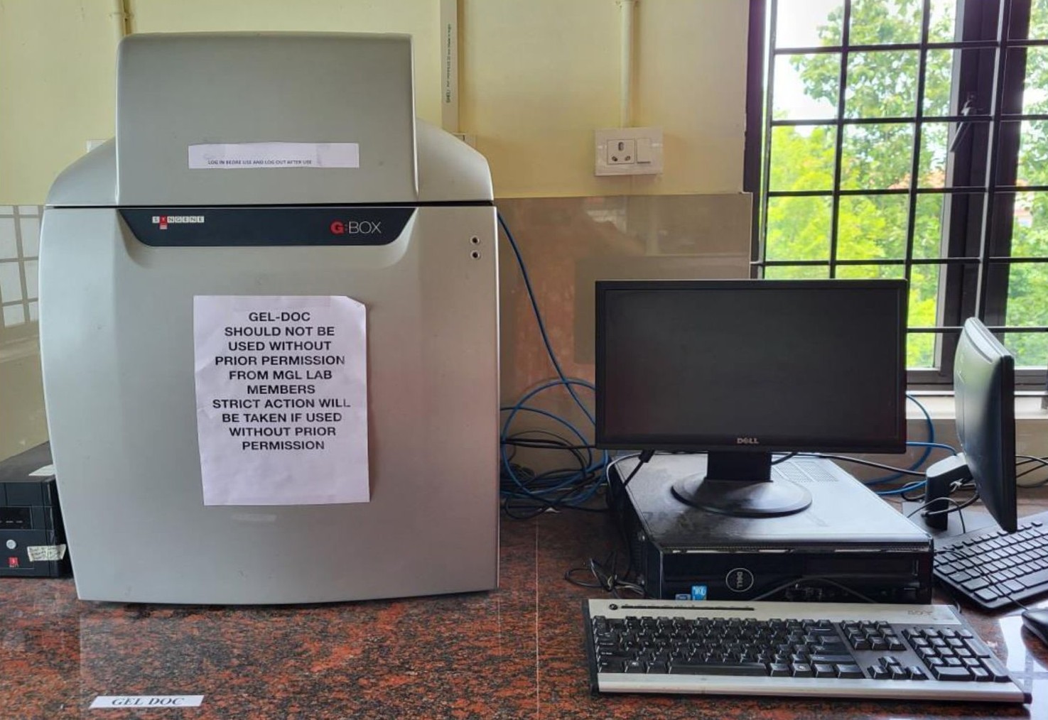 Gel Documentation System